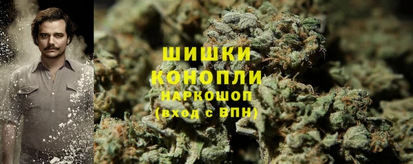 спайс Алзамай
